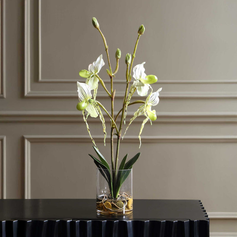 Lady - Slipper Orchid In Glass Vase - Green,White