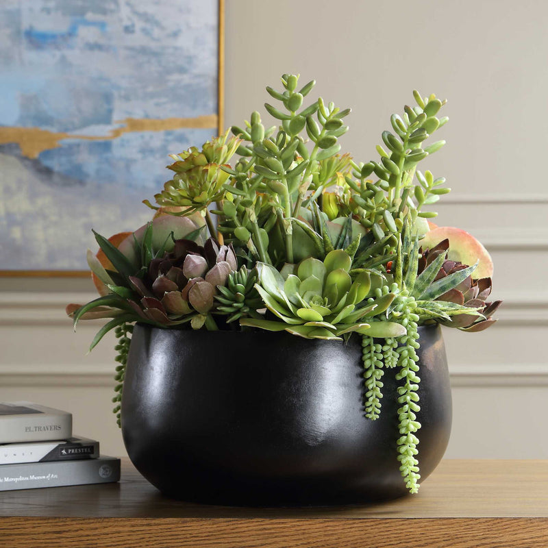 Mico - Indoor-Outdoor Succulent Centerpiece - Black,Green