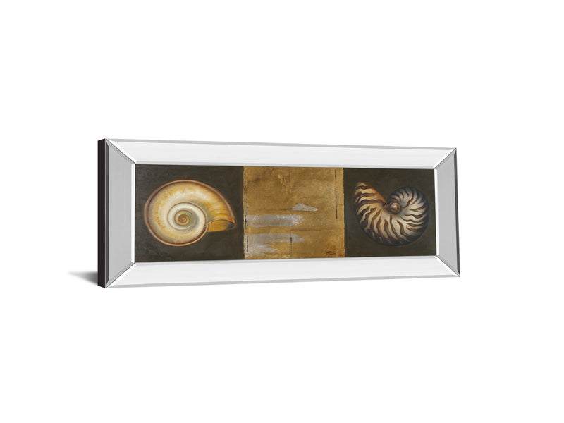 Seashells I By Patricia Pinto - Mirror Framed Print Wall Art - Gold