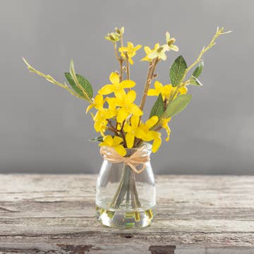 Forsythia Vase