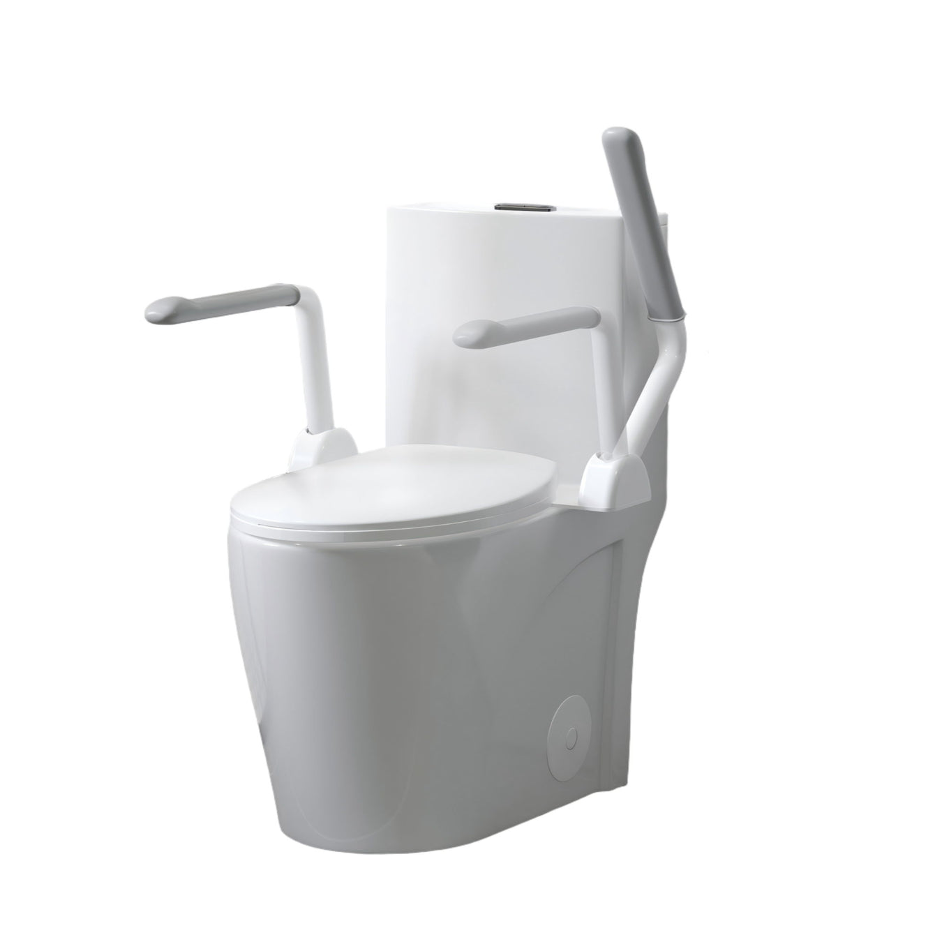 Toilets & Bidets