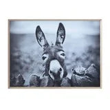 Framed Canvas Wall Decor with Donkey