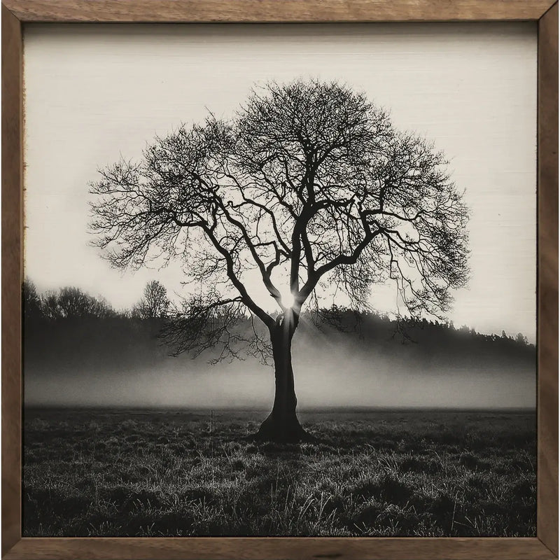 Alone Tree Picture