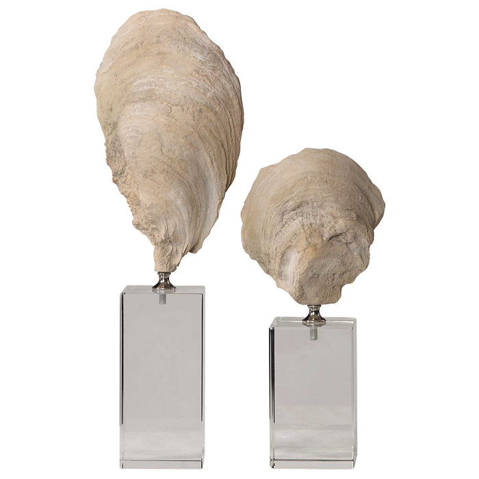 Oyster - Shell Sculptures (Set of 2) - Beige