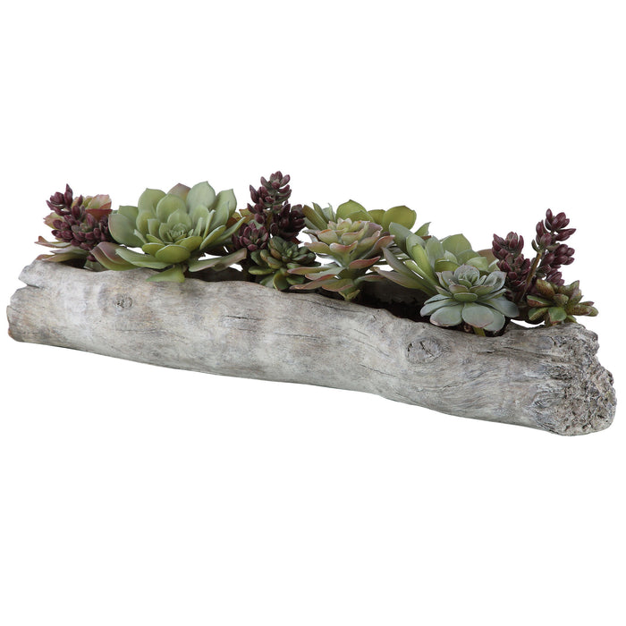 Charita - Lush Succulents - Pearl Silver