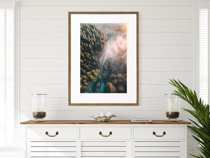 Pinebound Light II - 24 X 32 - Framed Print Under Glass - Green