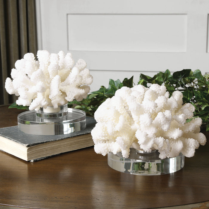 Hard Coral - Sculptures (Set of 2) - White