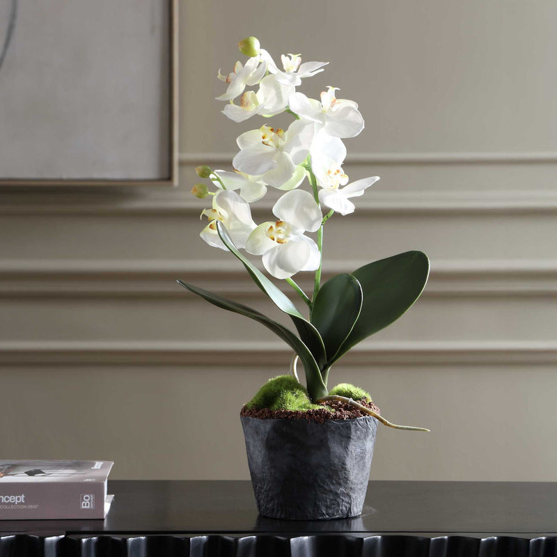 Laris - Orchid Drop-In - White