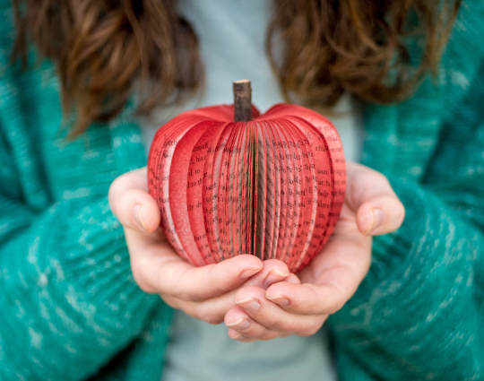 Book Apple Red-Teacher and Book Lover Gift-Paper Anniversary