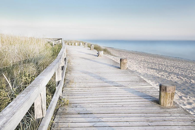 Eternity Boardwalk By Danita Delimont (Small) - Gray