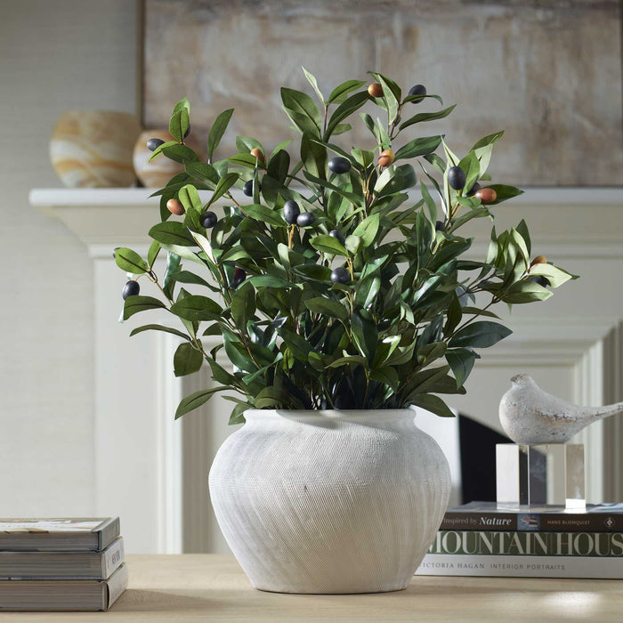 Elena Olive - Centerpiece - White