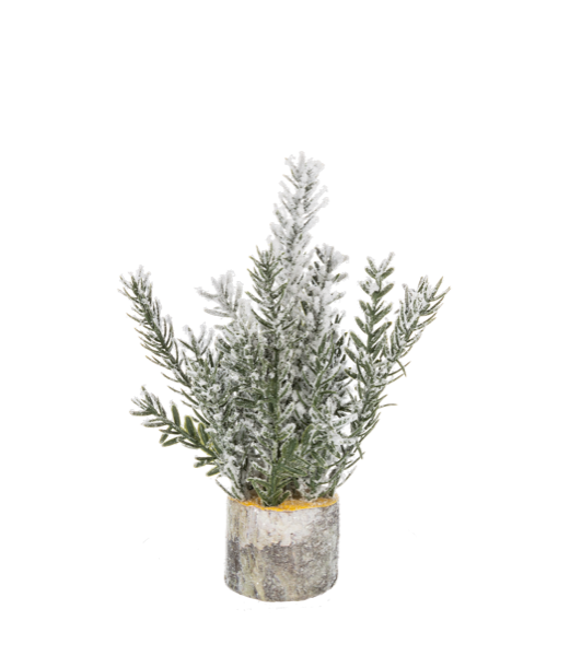Frosted Tree